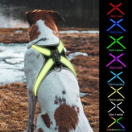 Proud of My – 7 színben világító hám éjszakai sétákhoz (S)