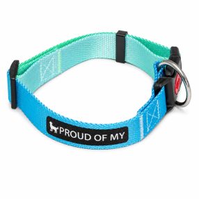   Proud of My – Csatos kutya nyakörv - Sötét-világos kék (M)