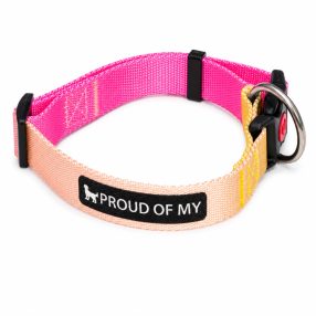   Proud of My – Csatos kutya nyakörv - Sárga-rózsaszín (M)