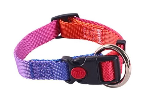 Proud of My – Csatos kutya nyakörv - Kék-piros (L)