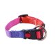 Proud of My – Csatos kutya nyakörv - Kék-piros (L)