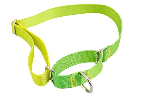 Proud of My – Martingale nyakörv - Zöld-sárga (S)