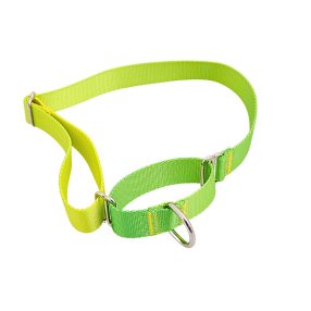 Proud of My – Martingale nyakörv - Zöld-sárga (M)