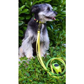 Proud of My – Sétáltató szett - Zöld-sárga - (S)