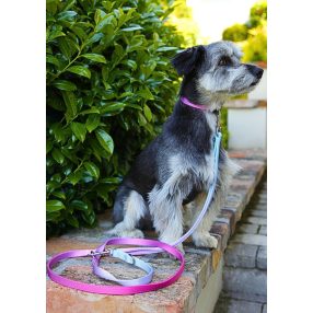 Proud of My – Sétáltató szett -  Kék-rózsaszín - (M)